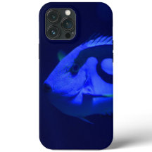 Fish Case-Mate iPhone Case