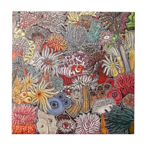 Fish clown and anemones tile