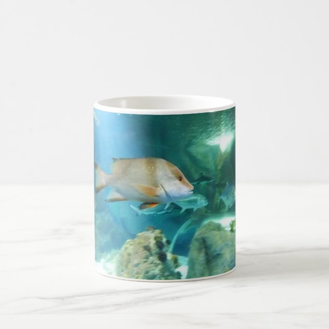 Fish Coffee Mug (Center)