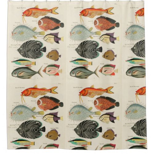 Fish collection shower curtain