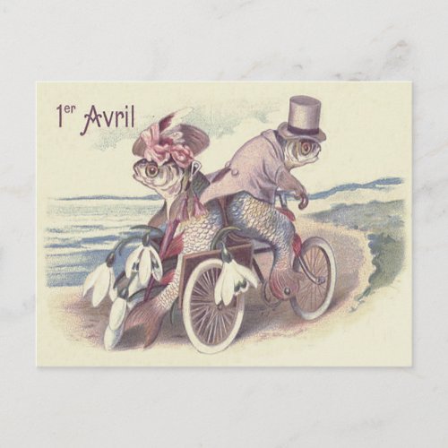 Fish Couple Bicycle Sea Ocean Lily Postcard