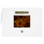 Fish Creek Blossoms Cards (Back Horizontal)