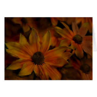 Fish Creek Blossoms Cards