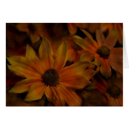 Fish Creek Blossoms Cards (Front Horizontal)