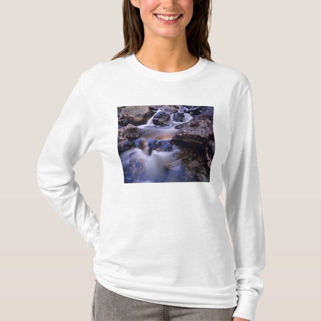 Fish Creek Falls near Steamboat Springs Colorado T-Shirt (Front)