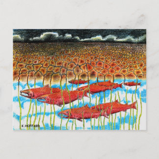 Fish Dream Postcard