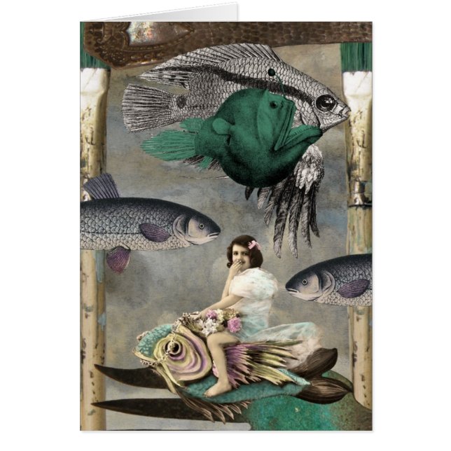 Fish Everywhere Cards (Front)