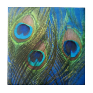 Fish Eye Peacock Feathers Tile