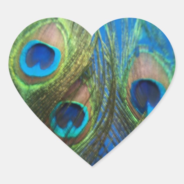Fish Eye Peacock Still Life Heart Shaped Stickers (Front)