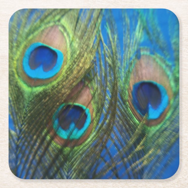 Fish Eye Peacock Still Life Square Paper Coaster (Front)