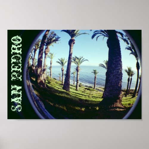 Fish Eye San Pedro Palm Trees Coastline Poster