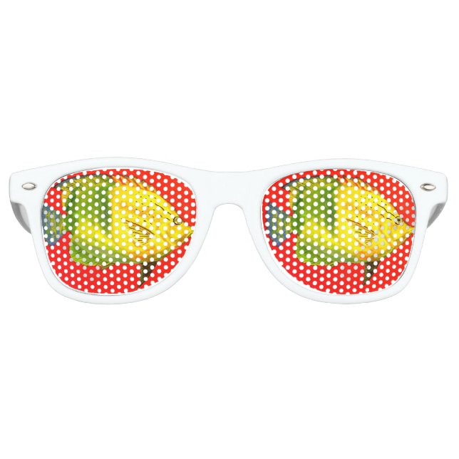 Fish Eyes Sunglasses (Front)