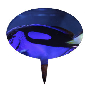 fish fishing sea custom personalize Anniversaries Cake Topper