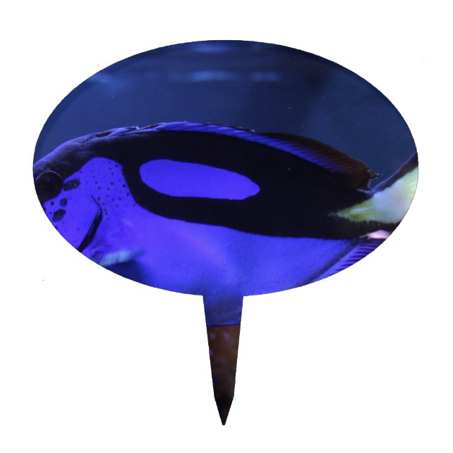 fish fishing sea custom personalize Anniversaries Cake Topper (Front)