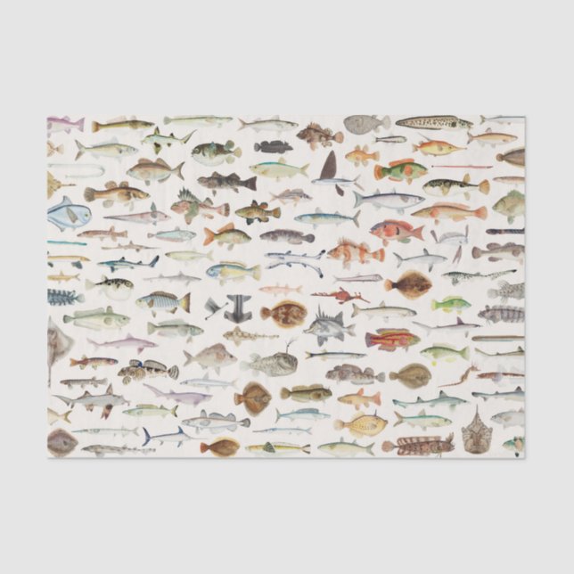 Fish Fishing Tissue Paper (Front)