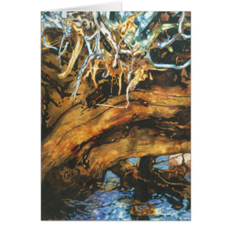 Fish Haven Cards