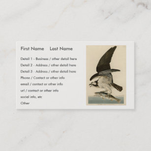 Fish Hawk, Osprey, from Audubon's Birds of America Business Card