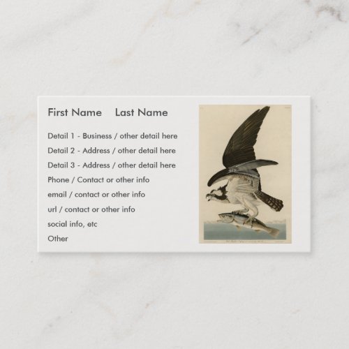 Fish Hawk Osprey from Audubons Birds of America Business Card