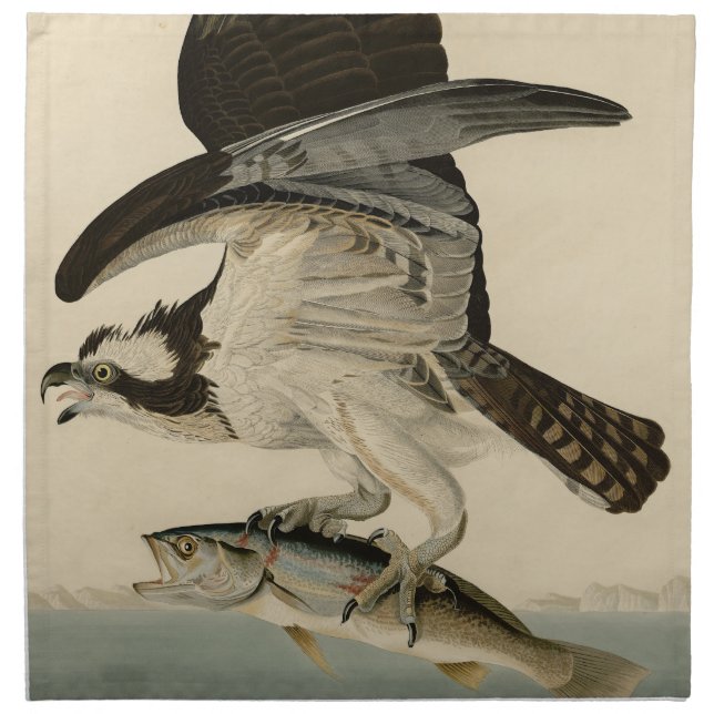 Fish Hawk, Osprey, from Audubon's Birds of America Cloth Napkin (Front)