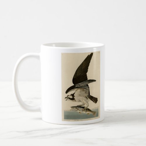 Fish Hawk Osprey from Audubons Birds of America Coffee Mug