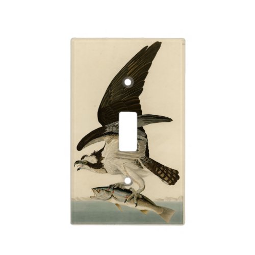 Fish Hawk Osprey from Audubons Birds of America Light Switch Cover