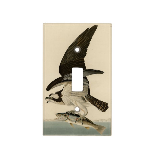 Fish Hawk, Osprey, from Audubon's Birds of America Light Switch Cover (Front)