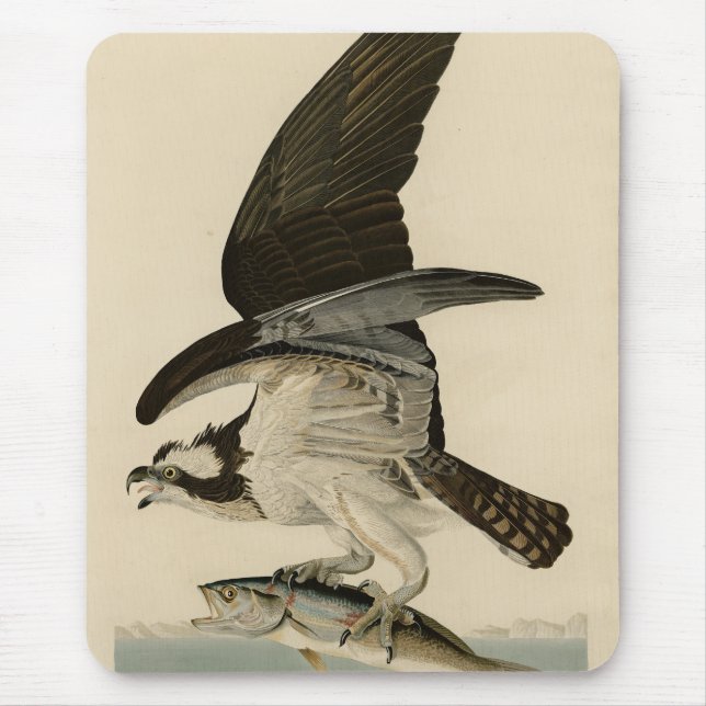 Fish Hawk, Osprey, from Audubon's Birds of America Mouse Pad (Front)