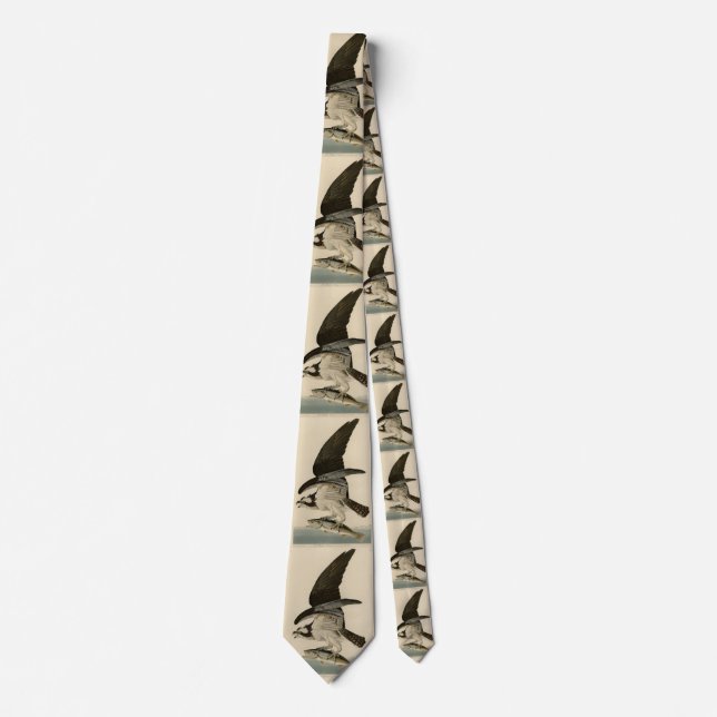 Fish Hawk, Osprey, from Audubon's Birds of America Neck Tie (Front)