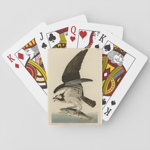 Fish Hawk Osprey from Audubons Birds of America Playing Cards