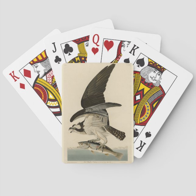 Fish Hawk, Osprey, from Audubon's Birds of America Poker Cards (Back)