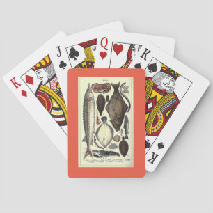 Fish Illustrations Vintage Chart Graphic Poker Cards