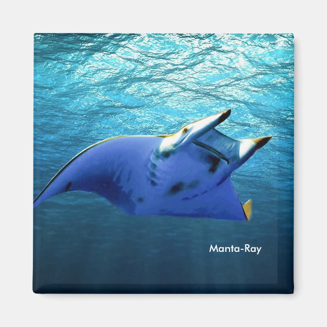 Fish Image for Square-Magnet Magnet (Front)