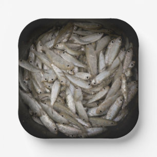 Fish in a Bucket  Paper Plates