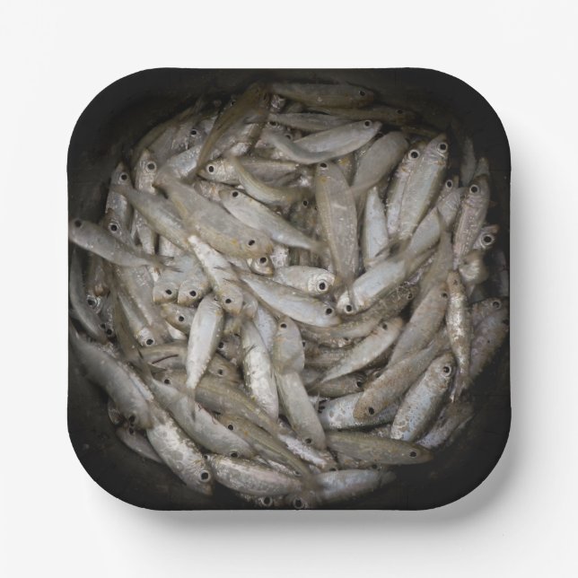 Fish in a Bucket  Paper Plates (Front)