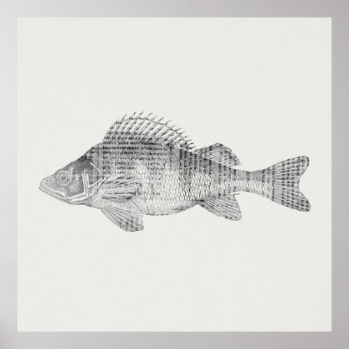 Fish in Newspaper Text Style with White Background Poster