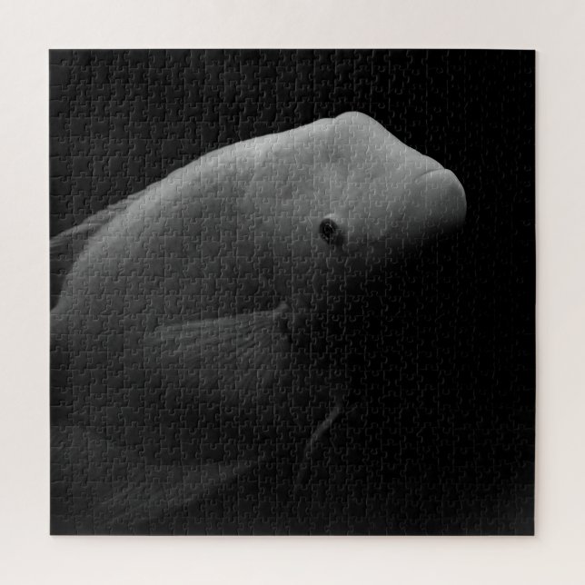 Fish in Tank - Art Photograph Jigsaw Puzzle (Vertical)