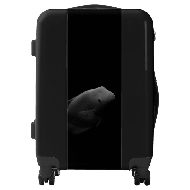 Fish in Tank Luggage (Front)