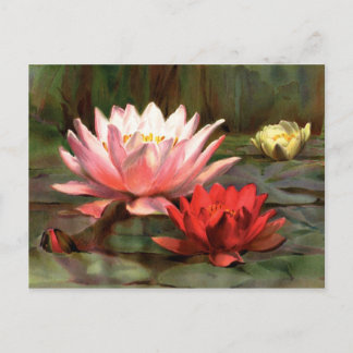 Fish in the Lily Pads - Postcard