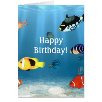 Fish In The Ocean by bonfireanimals at Zazzle
