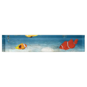 Fish In The Ocean Desk Name Plate
