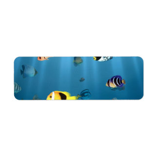 Fish In The Ocean Label