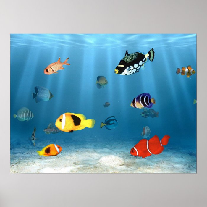 Fish In The Ocean Poster