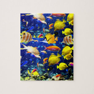 Fish Jigsaw Puzzle