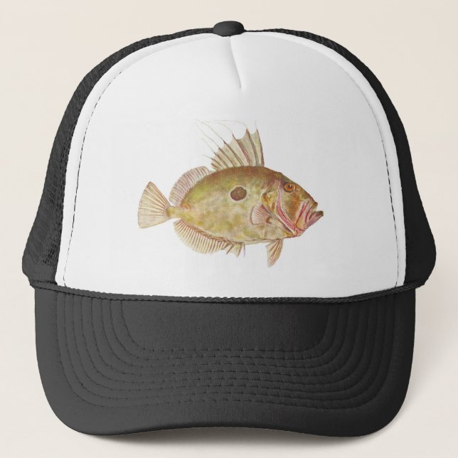 Fish - John Dory - Zeus faber Trucker Hat (Front)