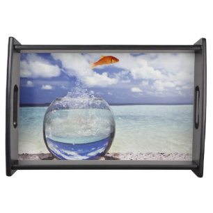 Fish jumping from fish tank serving tray