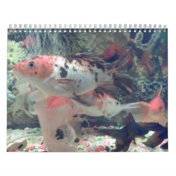 Fish Koi Calendar by naiza86 at Zazzle