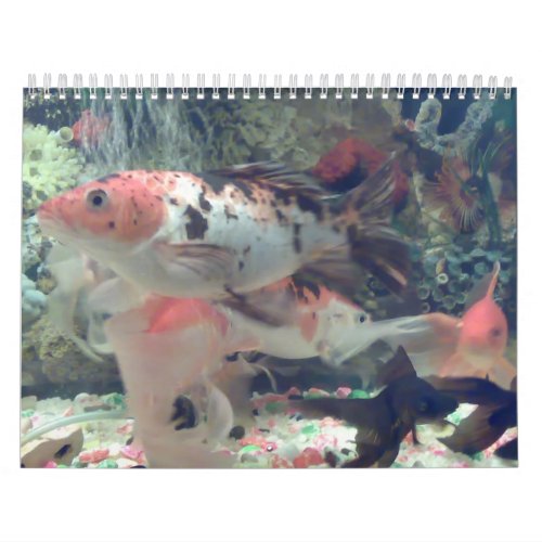 Fish Koi Calendar