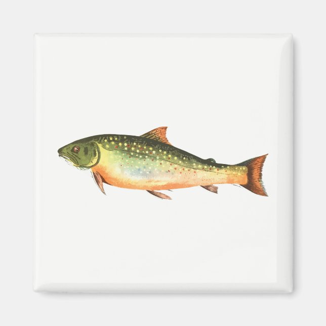 Fish Magnet (Front)