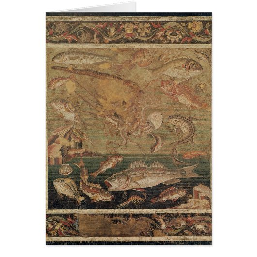 Fish, Molluscs and Crustacea Cards (Front)