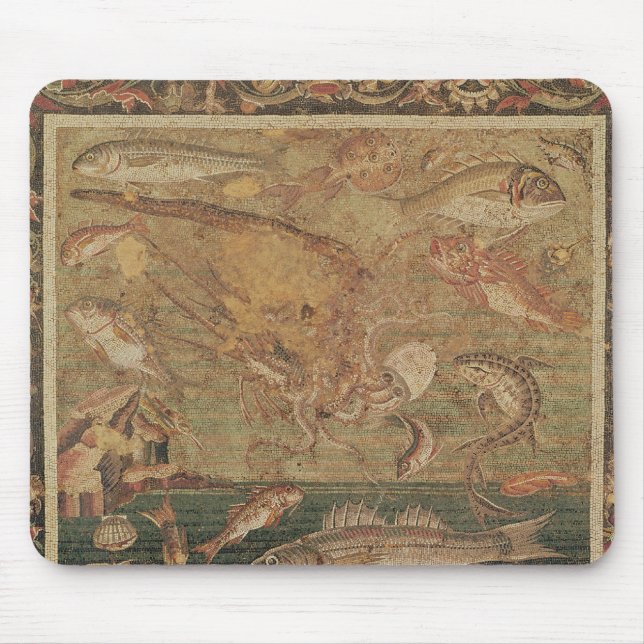 Fish, Molluscs and Crustacea Mouse Pad (Front)